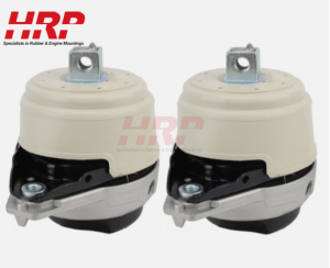 2x Engine Motor Mount Left & Right Side for Mercedes-Benz 1662406017 1662406117