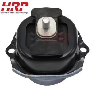 Auto Parts Front Engine Mount for BMW X5 22116795416 /22116781041