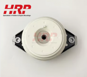 1662405917 Auto Right Side Engine Mount A1662405917 for Mercedes Benz GLE W166